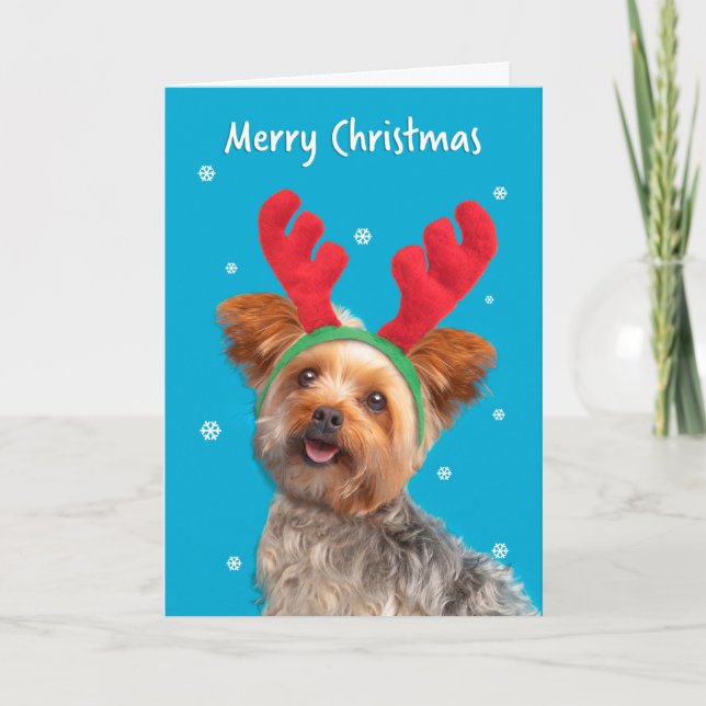 Merry Christmas Cute Yorkie Dog in Reindeer Ears Holiday Card (Front)