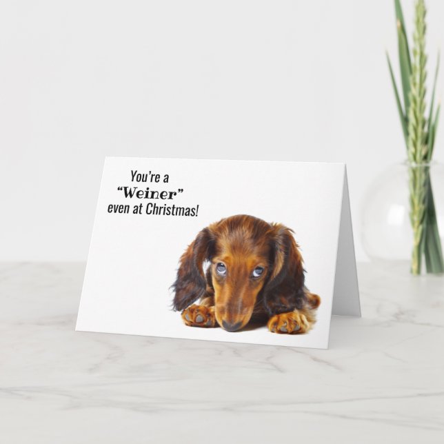 Merry Christmas Dachshund Dog Animal Holiday Card (Front)