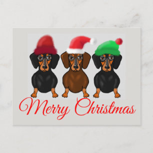 Merry Christmas Dachshund Postcard