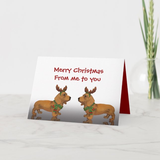 Merry Christmas Dachshunds Holiday Card (Front)
