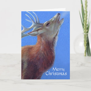Merry Christmas deer fine art card