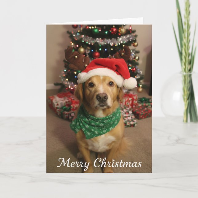 Merry Christmas Dog Card (Front)