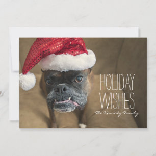 Merry Christmas Dog Holiday Card