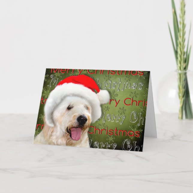 Merry Christmas - Dog in Santa Hat Holiday Card (Front)