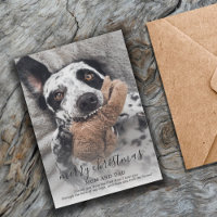 Merry Christmas Dog Photo Rescue Dog