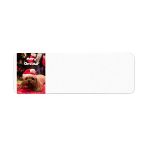 Merry Christmas Dog Return Address Label