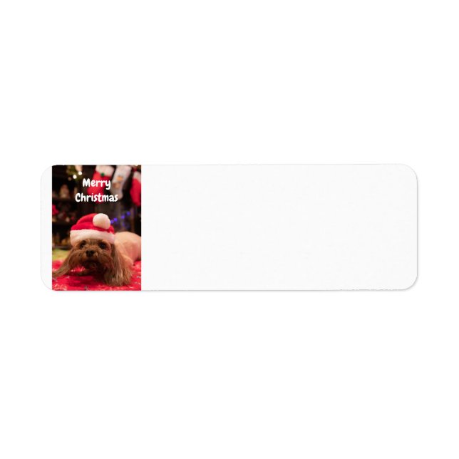 Merry Christmas Dog Return Address Label (Front)