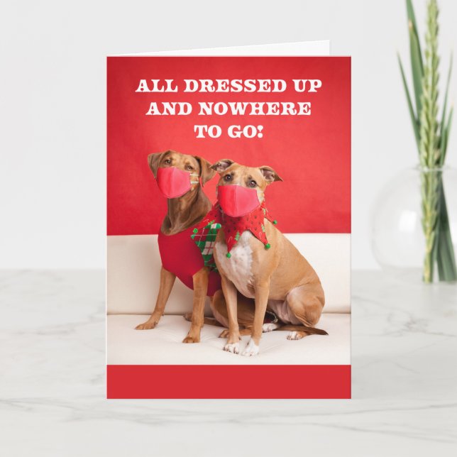Merry Christmas Dogs in Coronavirus Face Masks Holiday Card (Front)