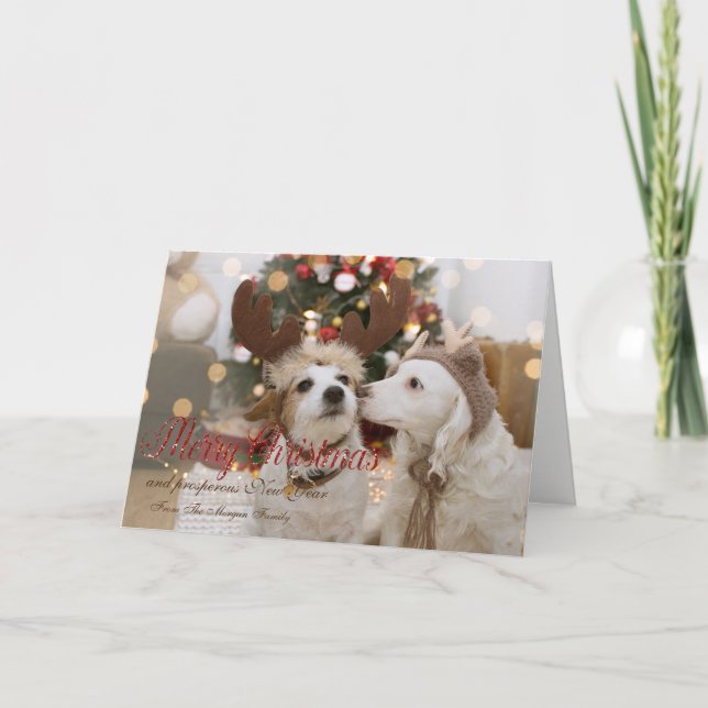 Merry Christmas, Dogs In Love Holiday Card (Front)