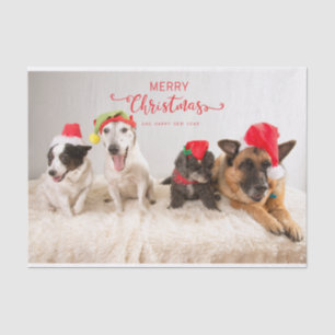 Merry Christmas Dogs in Santa Hats Tissue Paper