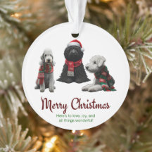 Merry Christmas Dogs