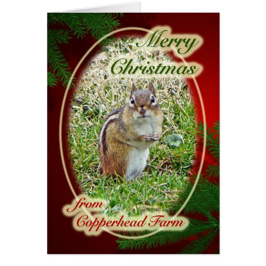 Merry Christmas Eastern Chipmunk For Dolores Card