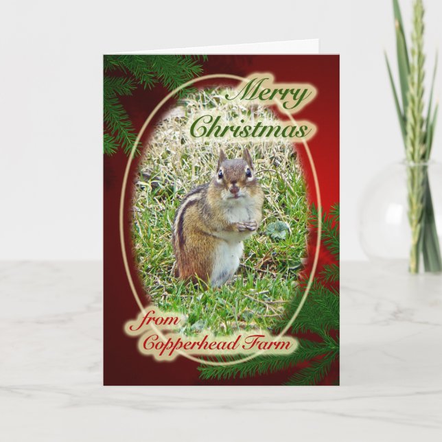 Merry Christmas Eastern Chipmunk For Dolores Holiday Card (Front)