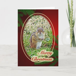 Merry Christmas Eastern Chipmunk Holiday Card