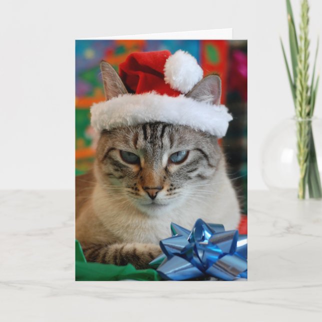 Merry Christmas (even if you're naughty) Holiday Card (Front)