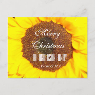 Merry Christmas Family December 2016 Sunflower Holiday Postcard