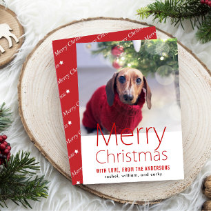 Merry Christmas Family Pet Holiday Card