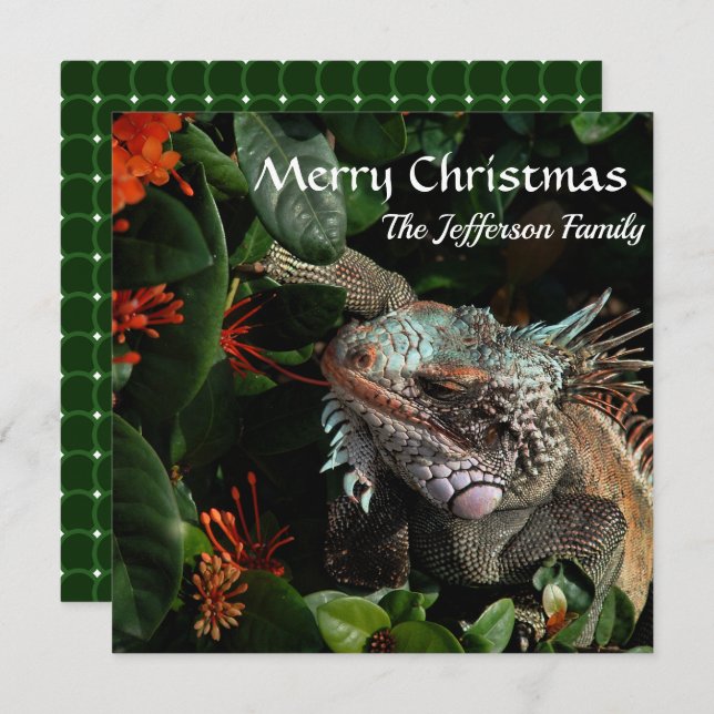 Merry Christmas Family Pet Iguana Custom Card (Front/Back)