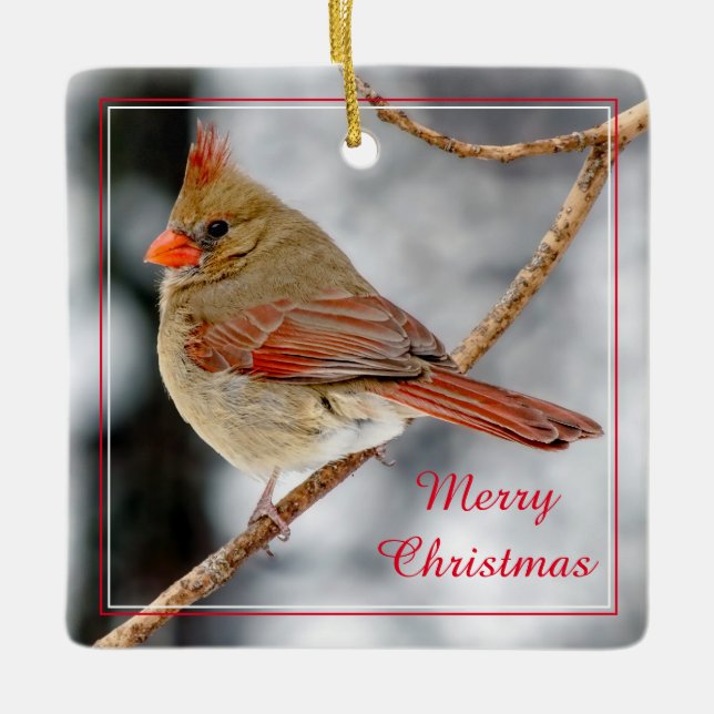 Merry Christmas Female Northern Cardinal Ornament (Front)