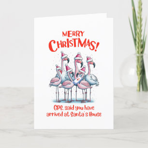 Merry Christmas Flamingos Visiting Santa Program