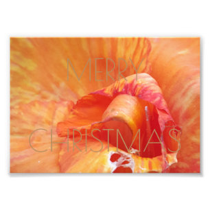 Merry Christmas Floral Orange Flower Photography Photo Print