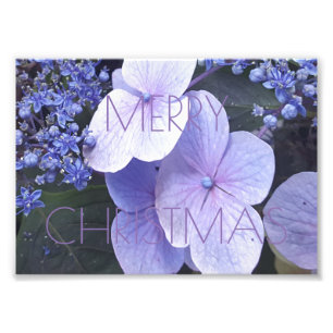 Merry Christmas Floral Purple Flowers Photography Photo Print