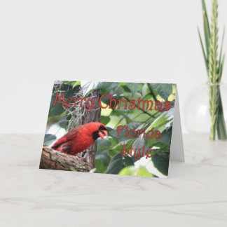 Merry Christmas, Florida Style Holiday Card