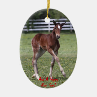 Merry Christmas Foal Ornament
