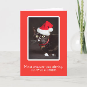 Merry Christmas For Anyone Cat in Santa Hat Humour Holiday Card