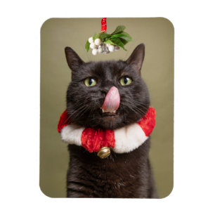 Merry Christmas For Anyone Cat Under Mistletoe Magnet