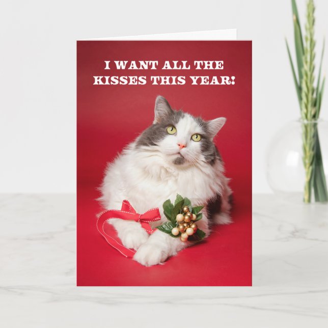 Merry Christmas For Anyone Cat With Mistletoe Holiday Card (Front)