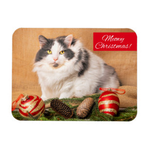 Merry Christmas For Anyone Cute Cat Humour Magnet