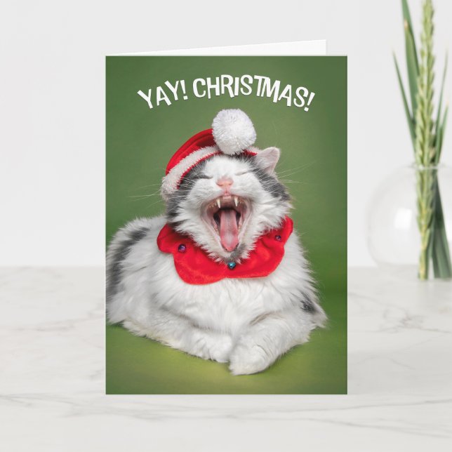 Merry Christmas For Anyone Happy Cat in Hat  Holiday Card (Front)