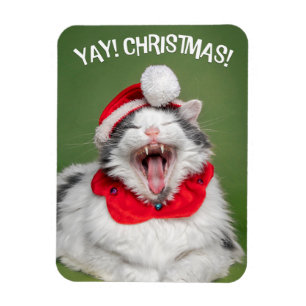 Merry Christmas For Anyone Happy Cat in Hat  Magnet