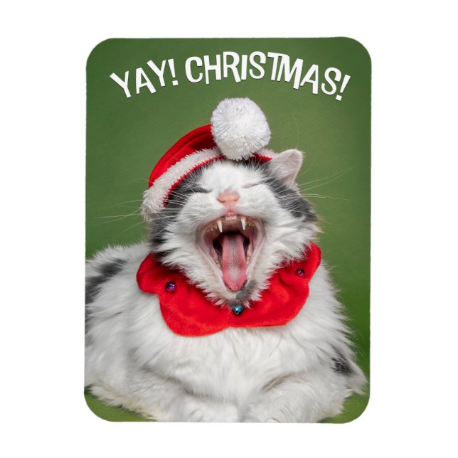 Merry Christmas For Anyone Happy Cat in Hat  Magnet (Vertical)