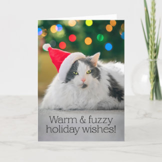 Merry Christmas For Anyone Warm and Fuzzy Cat Holiday Card