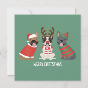 Merry Christmas French Bulldogs Holiday Card