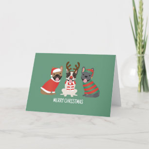 Merry Christmas French Bulldogs Holiday Card