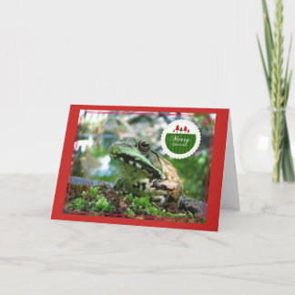 Merry Christmas Frog Card