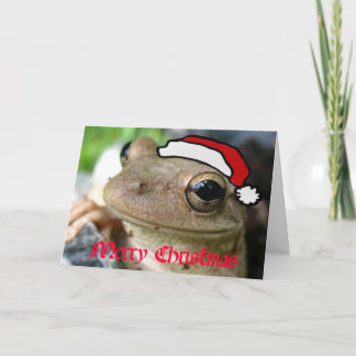 Merry Christmas Froggy Holiday Card