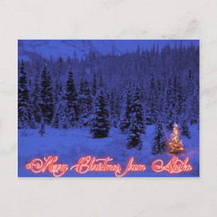 Merry Christmas from Alaska Postcard
