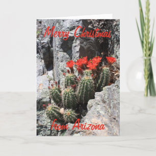 Merry Christmas from Arizona Holiday Card