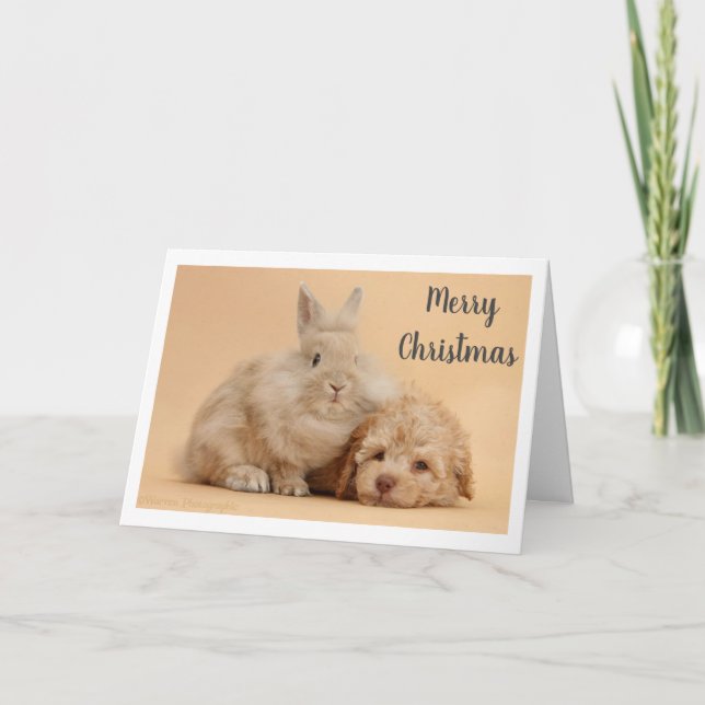 **MERRY CHRISTMAS** from BUNNY & PUPPY Holiday Card (Front)