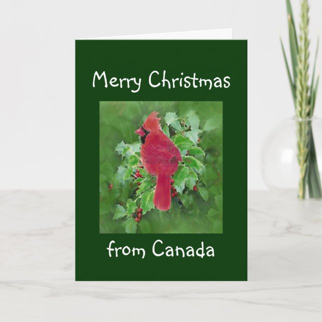 Merry Christmas from Canada, Cardinal Bird Holiday Card (Front)
