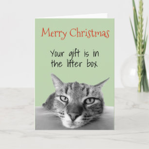 Merry Christmas From Cat Gift is in Litter Box Card