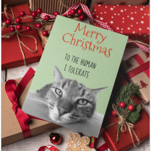 Merry Christmas From Cat To Human I Funny Card