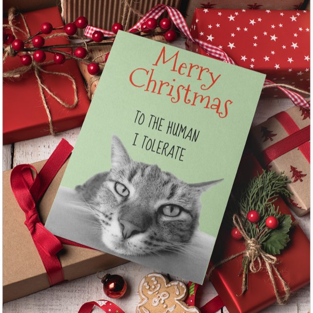 Merry Christmas From Cat To Human I Funny Card (Creator Uploaded)