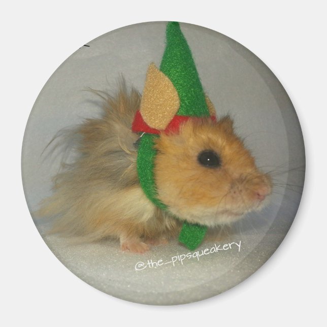 Merry Christmas from Chuck the Elf Magnet (Front)