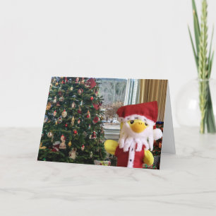 Merry Christmas from Danny Duck Announcement