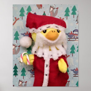 Merry Christmas from Danny Duck Santa Poster
